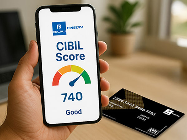 Check the CIBIL score online