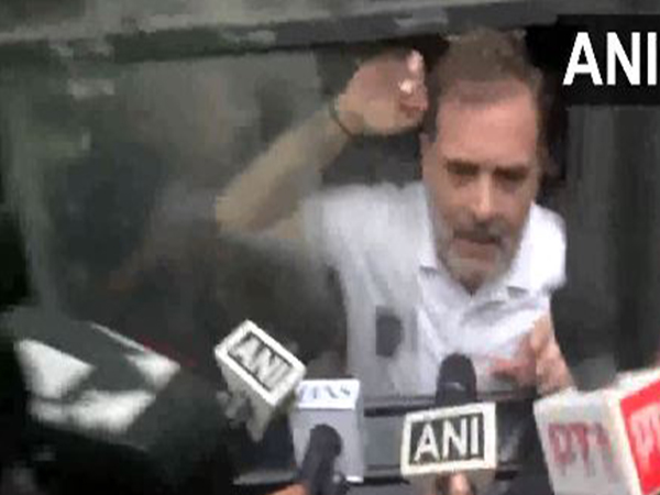 Leader of Opposition in the Lok Sabha (Photo/ANI)