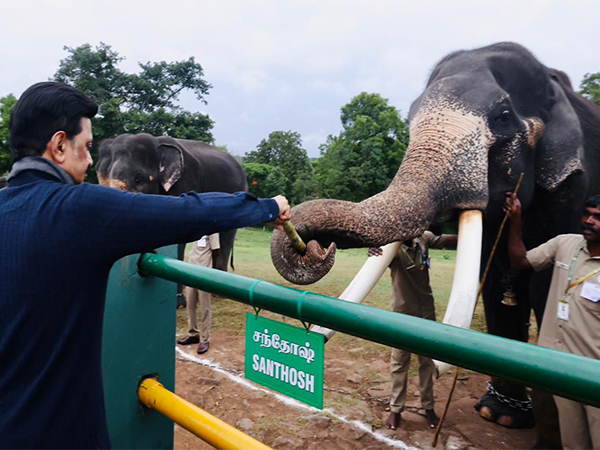 Tamil Nadu CM MK Stalin at an Elephant Sanctuary (File Photo/ANI)