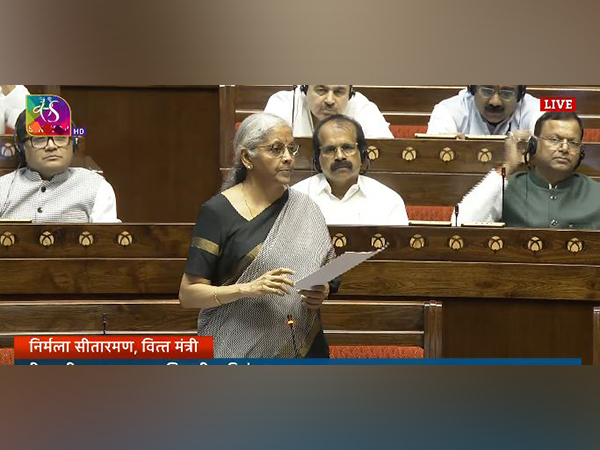 Union Finance Minister Nirmala Sitharaman (Photo/Sansad TV)