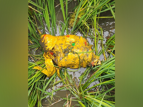 BSF recover pistols and heroin along Punjab border (Photo/ANI)