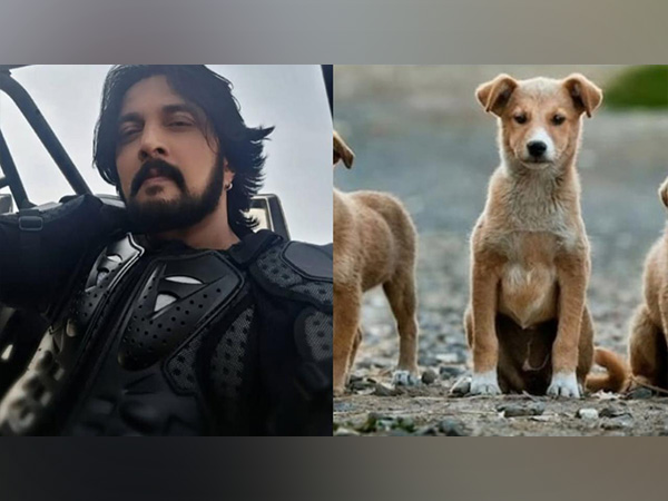 Kichcha Sudeepa (Photo/instagram/@