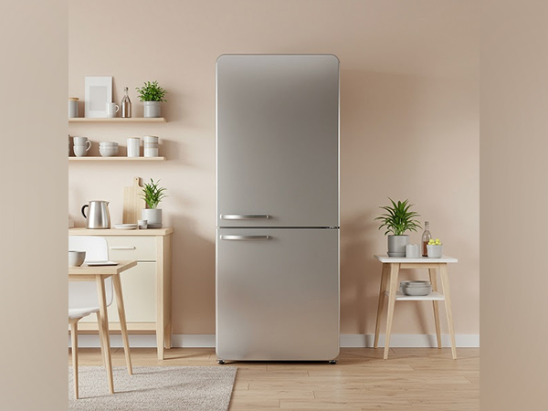 Why a 5 Star Refrigerator Tops the Independence Day Sale List