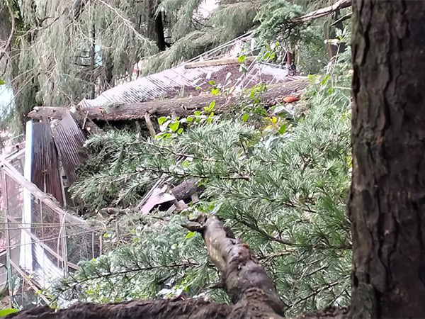 Visuals from the spot (Photo/ANI)