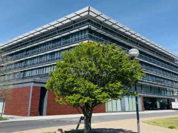 Representative Image