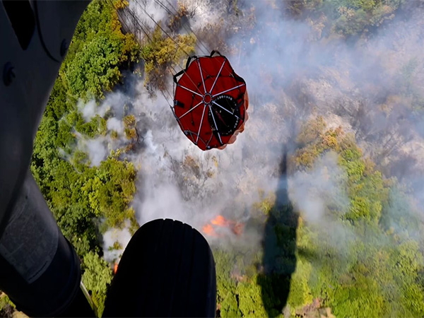 UAE rescue team conducts aerial water drops to combat wildfires in Gramsh forest, Albania, amid soaring temperatures (Photo/WAM)