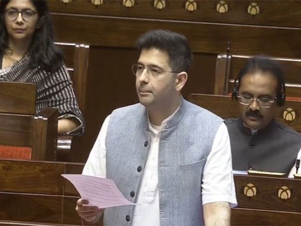Aam Aadmi Party (AAP) MP Raghav Chadha in Rajya Sabha. (Photo/ANI)