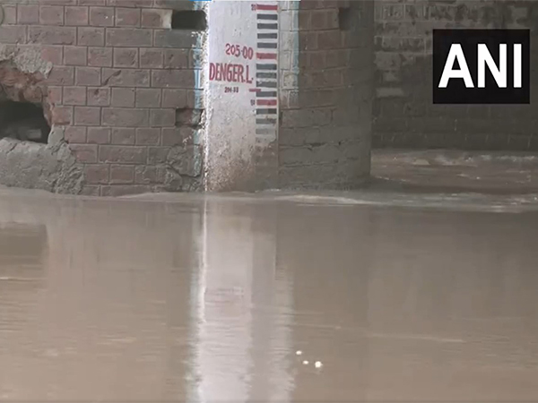 Yamuna flowing close to danger level (Photo/ANI)