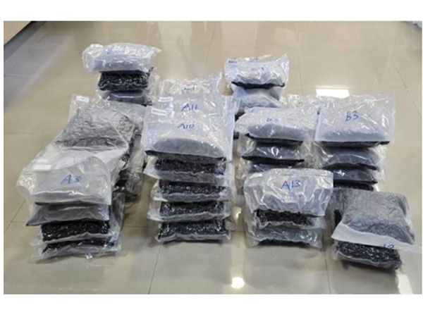 Recovered hydroponic weed (Photo/PIB)