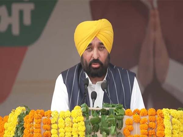 Punjab CM Bhagwant Mann (FilePhoto/ANI)