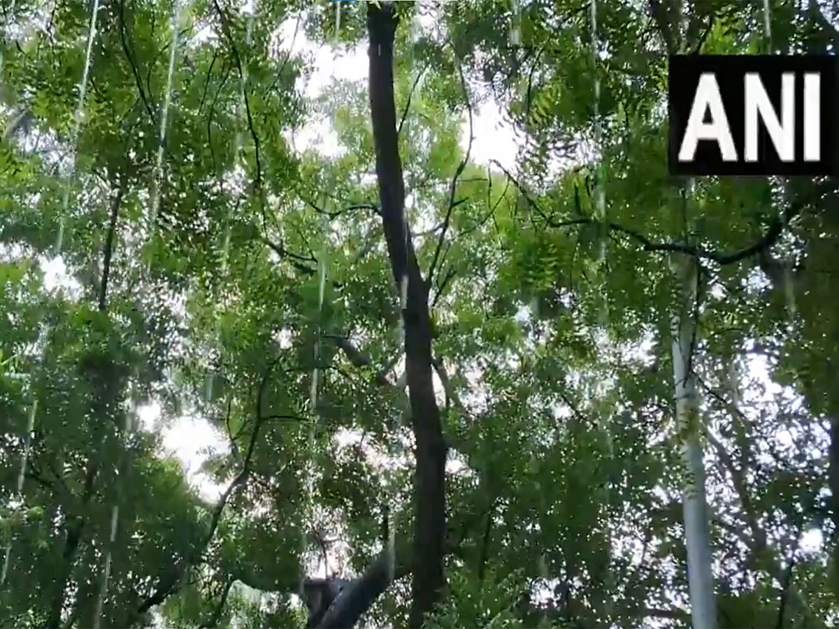 Rain lashes several areas of Delhi-NCR (Photo/ANI)