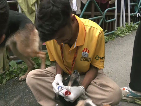 Shimla launches GPS-enabled collars (Photo/ANI)