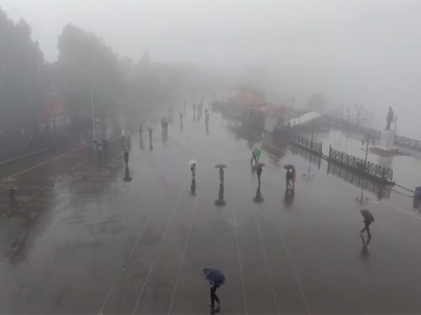 Rain lashes in Himachal Pradesh's Shimla city; fog engulfs (Photo/ANI)