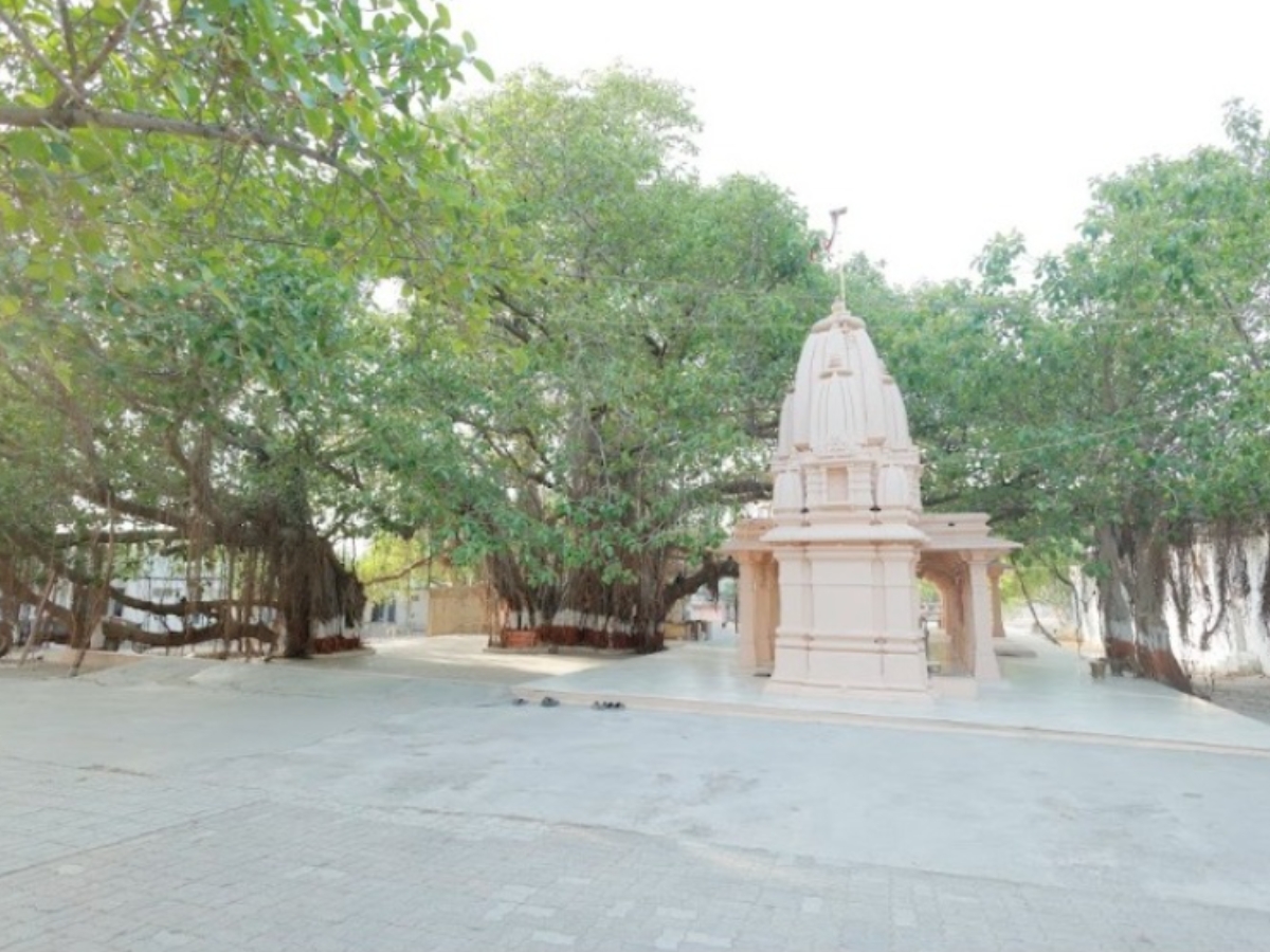 Historic Paryushan Festival at Siddhavad Tirth, Palitana