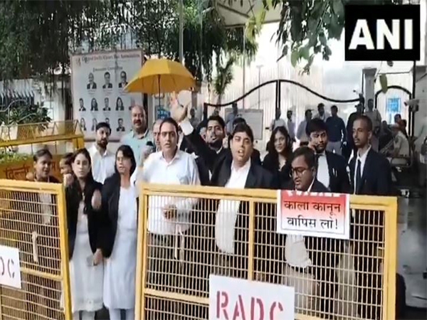 Lawyers held a protest against the notification issued by the Delhi LG VK Saxena notification  (Photo/ANI)