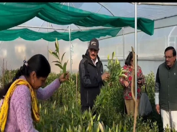Women in Pauri Garhwal’s Kot block cultivate lilies. (Photo/ANI)