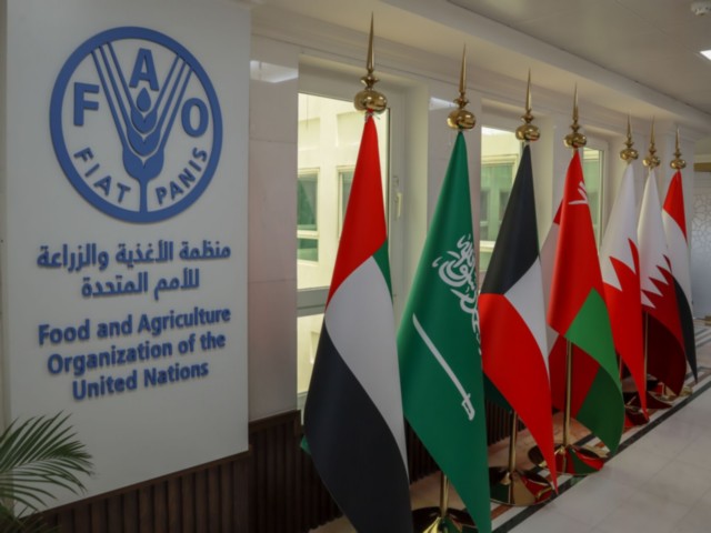 FAO marks Emirati Women’s Day (Photo/WAM)