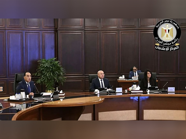 Egypt and UAE leaders reaffirm strong bilateral ties during high-level talks (Photo/WAM)