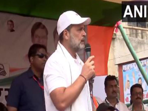 Lok Sabha LoP and Congress MP Rahul Gandhi (Photo/ANI)