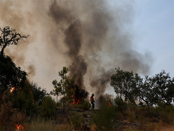 A firefighter battles flames amid burning trees and shrubs during a wildfire in Castelo Novo, Fundão, Portugal (Photo/Reuters)