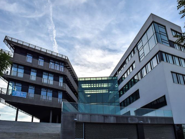 Representative Image (Image/Pexels)