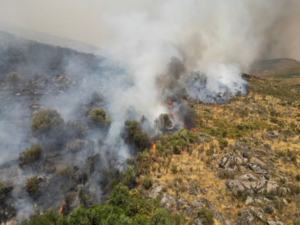 Forest fire in Portugal (Image/Reuters)
