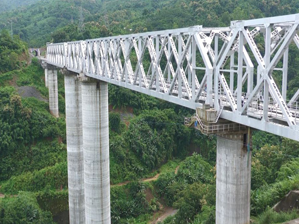 A visual of Bairabi–Sairang rail route (Photo/ANI)