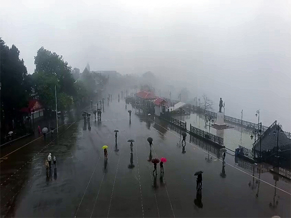 Heavy rains lash Shimla (Representational Image) (Photo/ANI) 