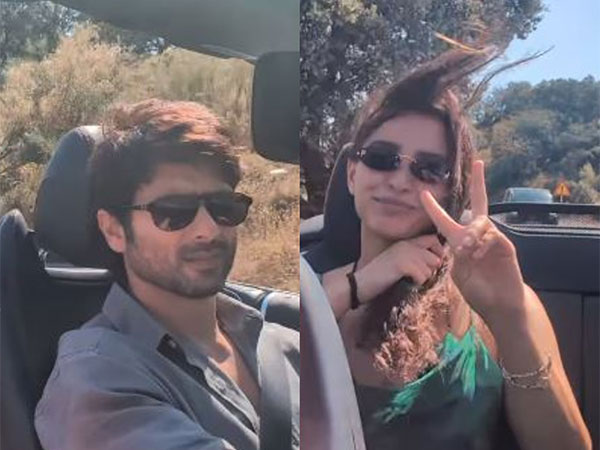 Shahid Kapoor, Triptii Dimri (Image Source: Instagram)