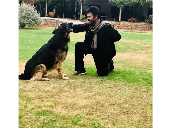 Actor Venkatesh Daggubati with his dog (Image source: Instagram @venkateshdaggubati)