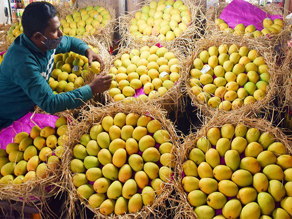 Representative Image (File Photo/ANI)