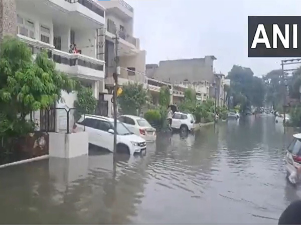Several residentail areas in Ludhiana faces waterlogging follow