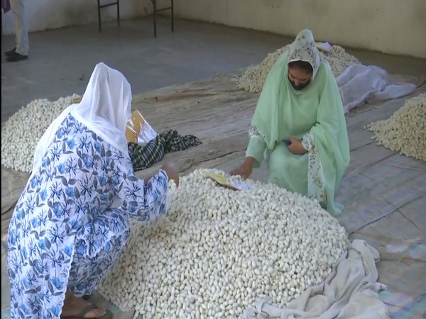 Mera Resham Mera Abhiman organised in J-K's Anantnag (Photo/ANI) 