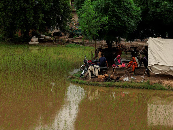 Flood in Pakistan (Image/Reuters)