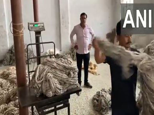 Visuals from Bikaner's wool industry (Photo/ANI)