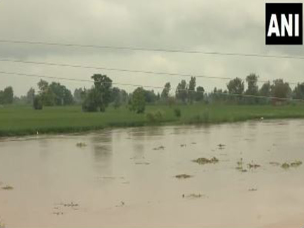 Flooded-affected villages at Hussainiwala border in Ferozepur.