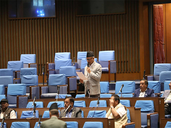 Nepali lawmaker speaking in parliament (Photo credit: Federal Parliament Secretariat, Nepal)