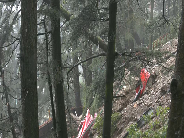 Due to heavy rainfall and a landslide, trees were uprooted near the CM's residence in Shimla.
