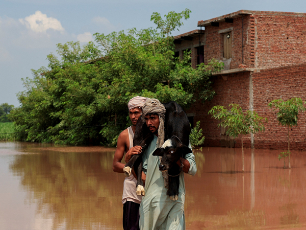 Flood-affected area in Pakistan (Photo/Reuters)