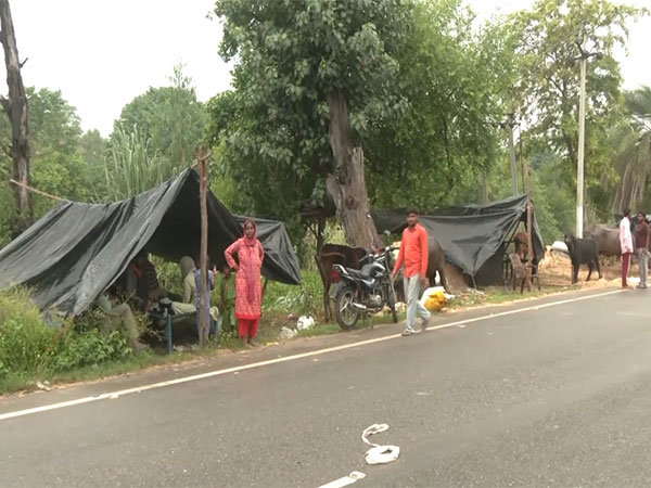 1,75,216 hectares of total cropland have been affected due to heavy rain (Photo/ANI)