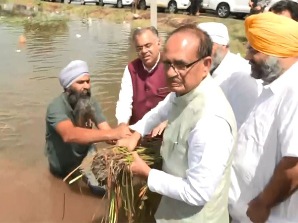 Union Minister Shivraj Singh Chouhan visits flood-affected areas in Amritsar, Punjab
