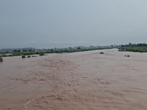 Ghaggar River in Derabassi (File Photo/ANI)