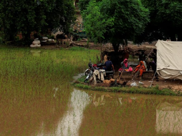 Floods in Pakistan (File Photo/Reuters)