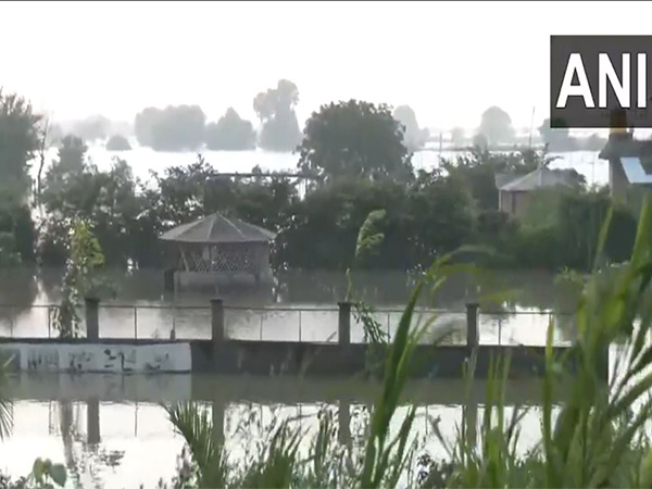 Visual of Noida Sector 135 Inundated amid rising water level of Yamuna. (Photo/ANI)