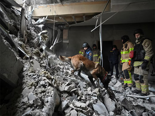 Rescuers work with a dog at the site of a building heavily damaged by a Russian missile strike amid Russia's attack on Ukraine (Photo/Reuters) Rescuers work with a dog at the site of a building heavily damaged by a Russian missile strike amid Russia's attack on Ukraine (Photo/Reuters)