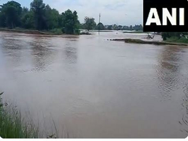 Punjab: Ghaggar river overflows, causing floods in parts of the district (File photo/ANI)