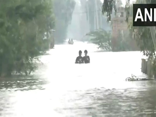 Visuals from Punjab's flooded areas (File Photo/ANI) 