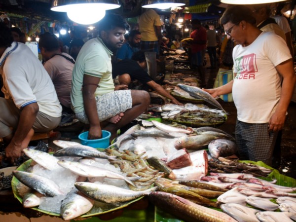 Citizens buy Hilsa fish amid a surge in its availability at a market in Kolkata (PhotoANI)