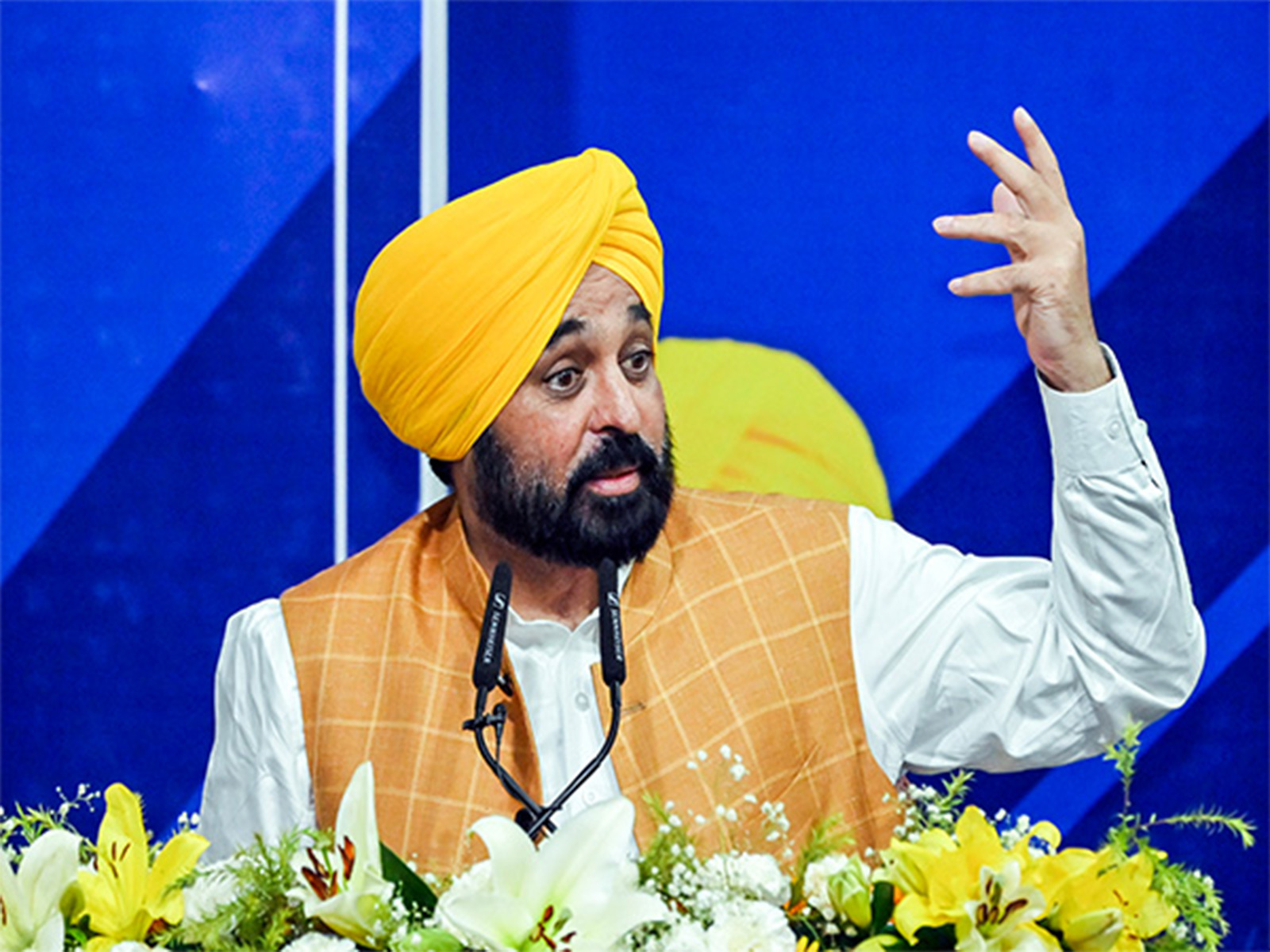 Punjab CM Bhagwant Mann ( File Photo: ANI)