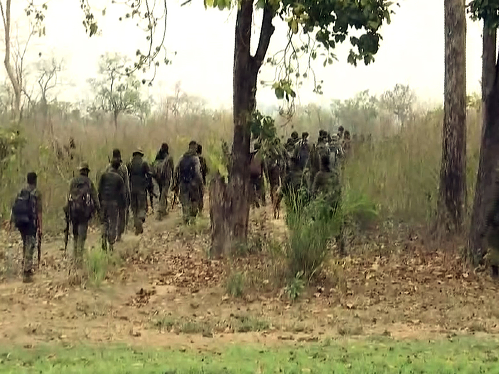 Security forces carrying out an operation in Chhattisgarh (File Photo/ANI)